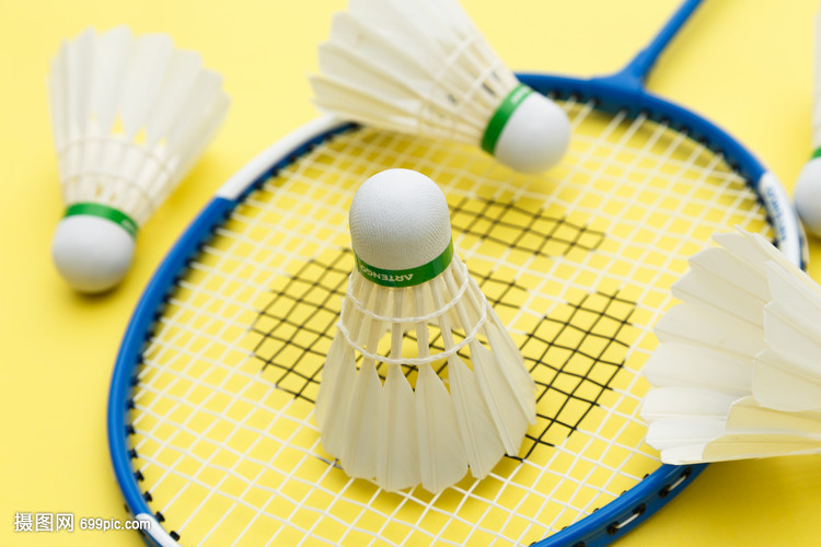 自筹备以来 自筹备以来