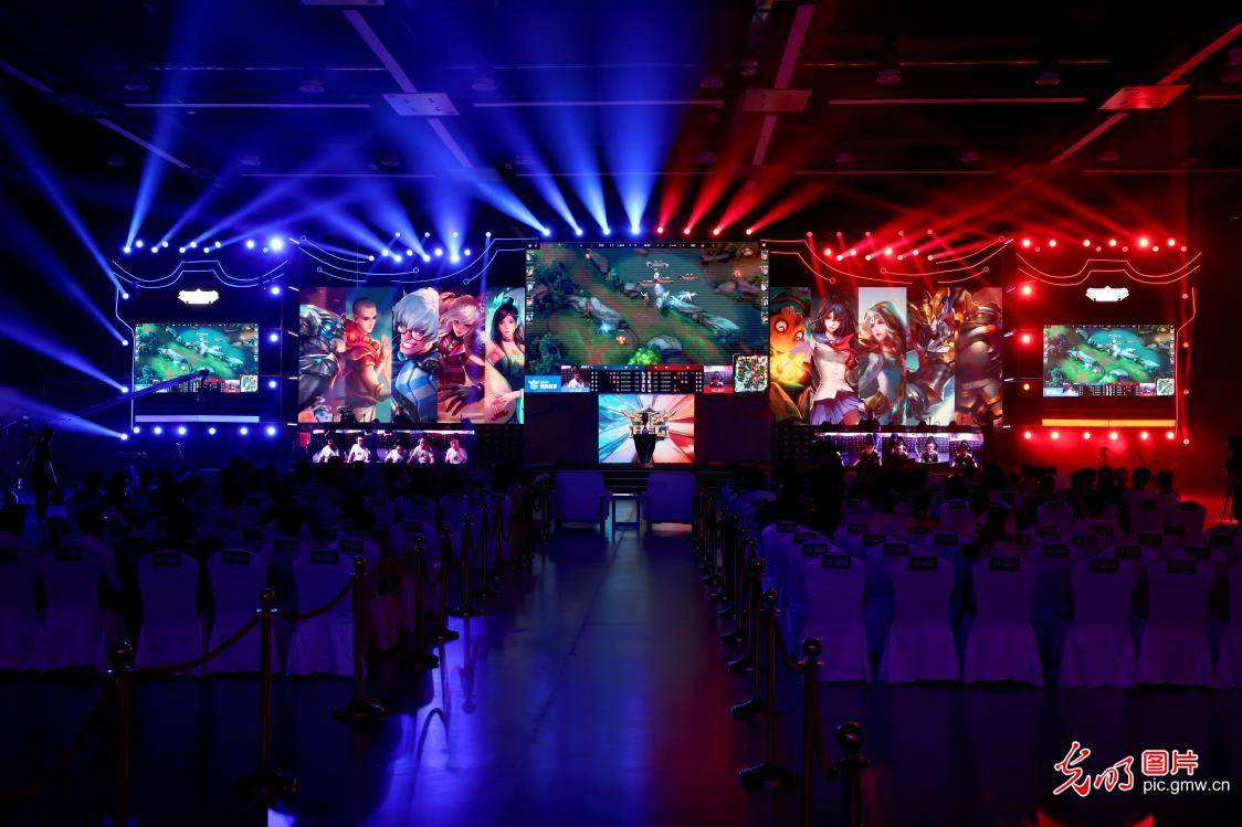 我们看到的 我们看到的